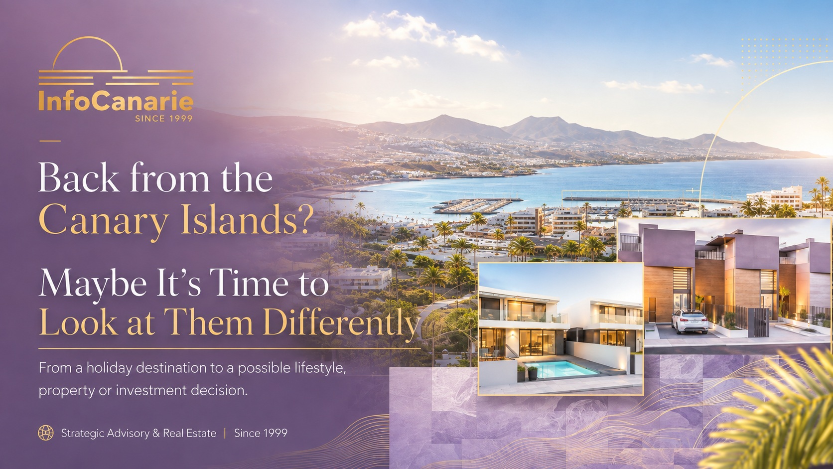 Back from the Canary Islands Maybe Its Time to Look at Them Differently Back from the Canary Islands Maybe Its Time to Look at Them Differently