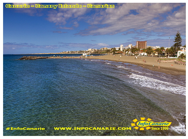 Info Canarie InfoCanarie canarias Canaries Canary Islands tenerife gran canaria fuertventura lanzarote